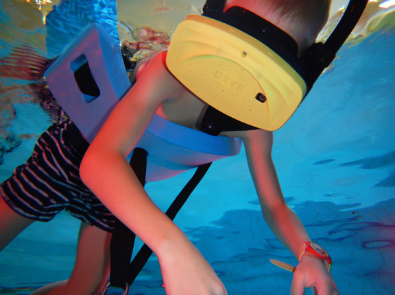 Virtual Reality Snorkelling